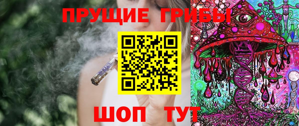 Псилоцибиновые грибы Psilocybine cubensis  Псилоцибиновые грибы прущие грибы  Батайск  Вход с VPN 